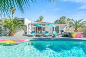 Palm Springs Desert Rose