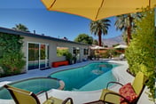 Palm Springs Perfection - Orange Pop Palm Springs