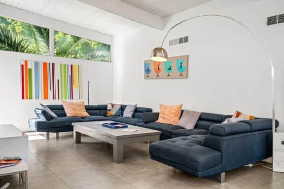 Palm Springs Desert Rose - Image 5