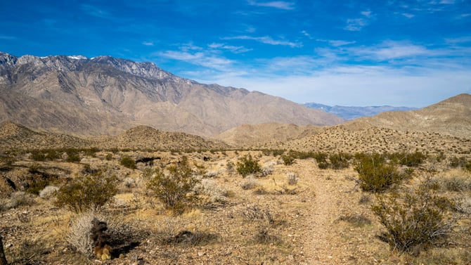 Palm Springs Area Attractions